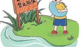 石家庄爆料真实事件最新,真相背后隐藏惊人秘密