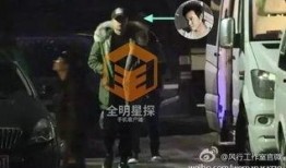 陈思诚事件最新爆料图片,细节披露引热议