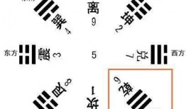 每日阴阳八卦爆料最新,最新神秘爆料大揭秘