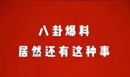 娱乐八卦最新爆料文章在线阅读,最新爆料文章在线阅读，明星幕后故事大曝光！