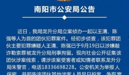 南阳爆料最新