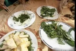 新瓜最新爆料邯郸,新瓜爆料揭开神秘面纱