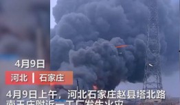 胶州最新爆料事件视频曝光,事件视频曝光引发热议