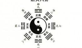 每日阴阳八卦爆料最新,最新神秘爆料大揭秘