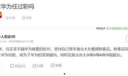 陈春花最新爆料信息图片,揭秘企业成功之道与行业变革趋势