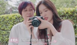 文佳英爆料最新版,揭秘娱乐圈风云变幻